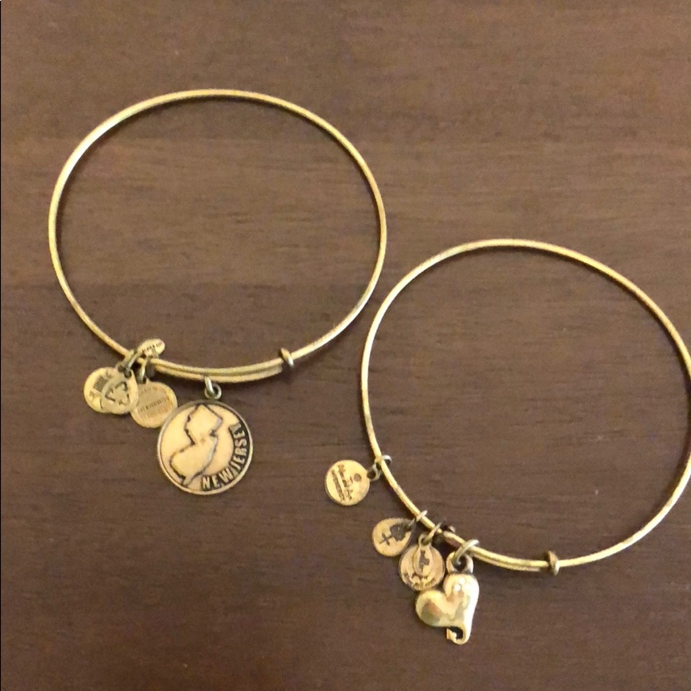 2 Alex and Ani bracelets! Slightly worn.